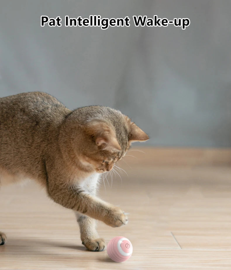 PetPerks Cat Interactive Ball