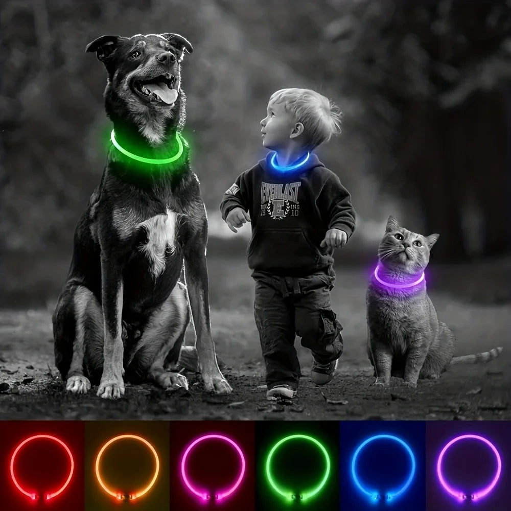 PetPerks Pet Dog LED Light Collar