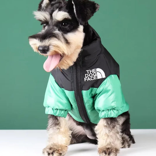 PetPerks  The Dog Face Winter Jacket For Dogs