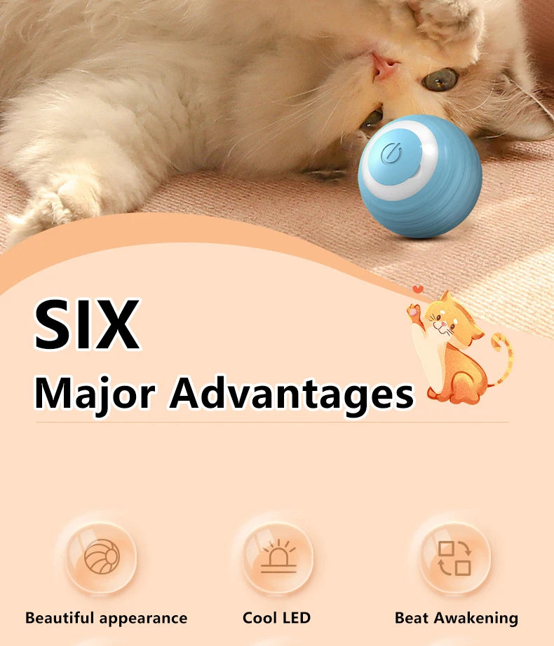 PetPerks Cat Interactive Ball