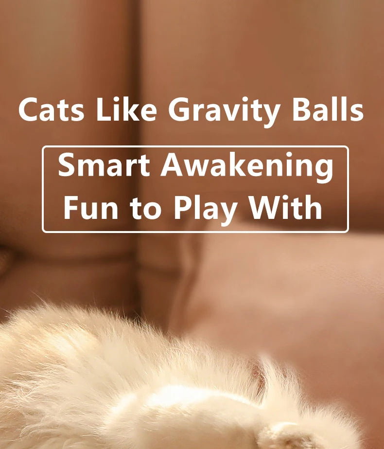 PetPerks Cat Interactive Ball