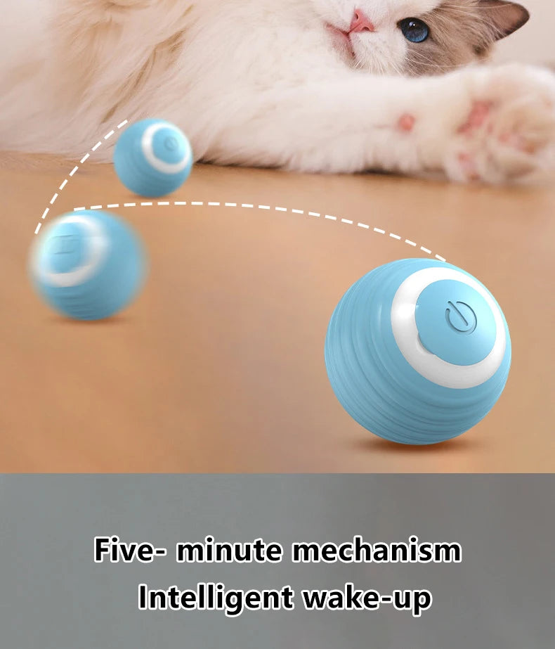 PetPerks Cat Interactive Ball