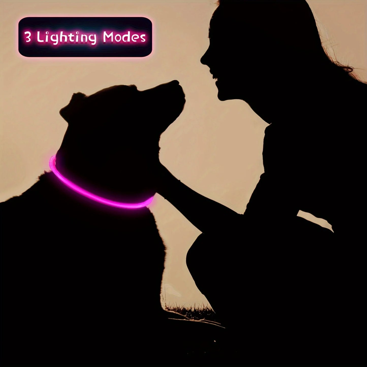 PetPerks Pet Dog LED Light Collar