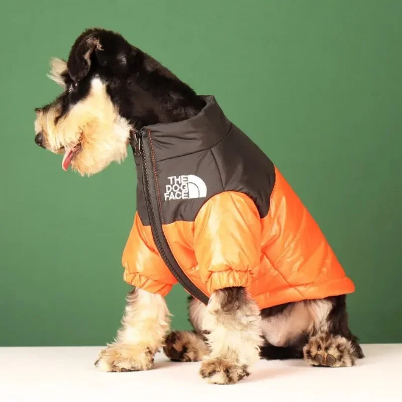 PetPerks  The Dog Face Winter Jacket For Dogs