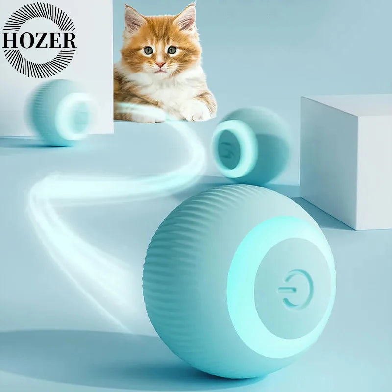 PetPerks Cat Interactive Ball