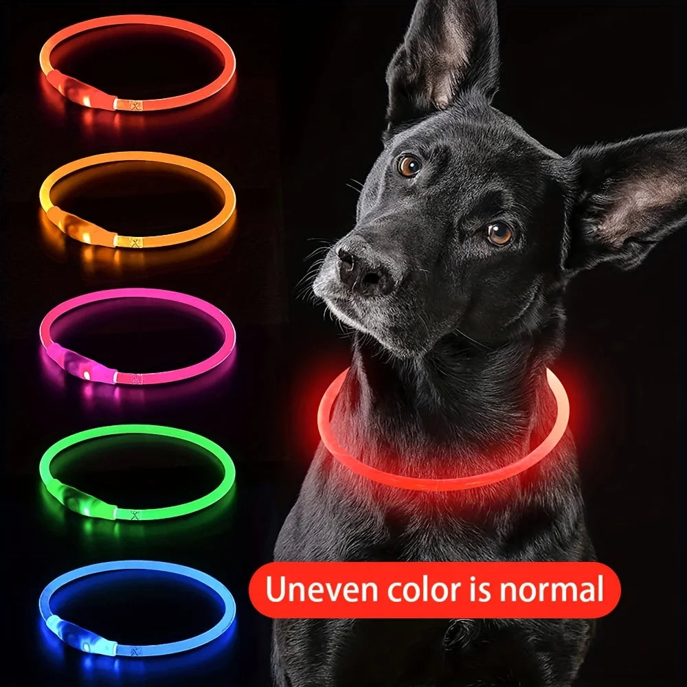 PetPerks Pet Dog LED Light Collar