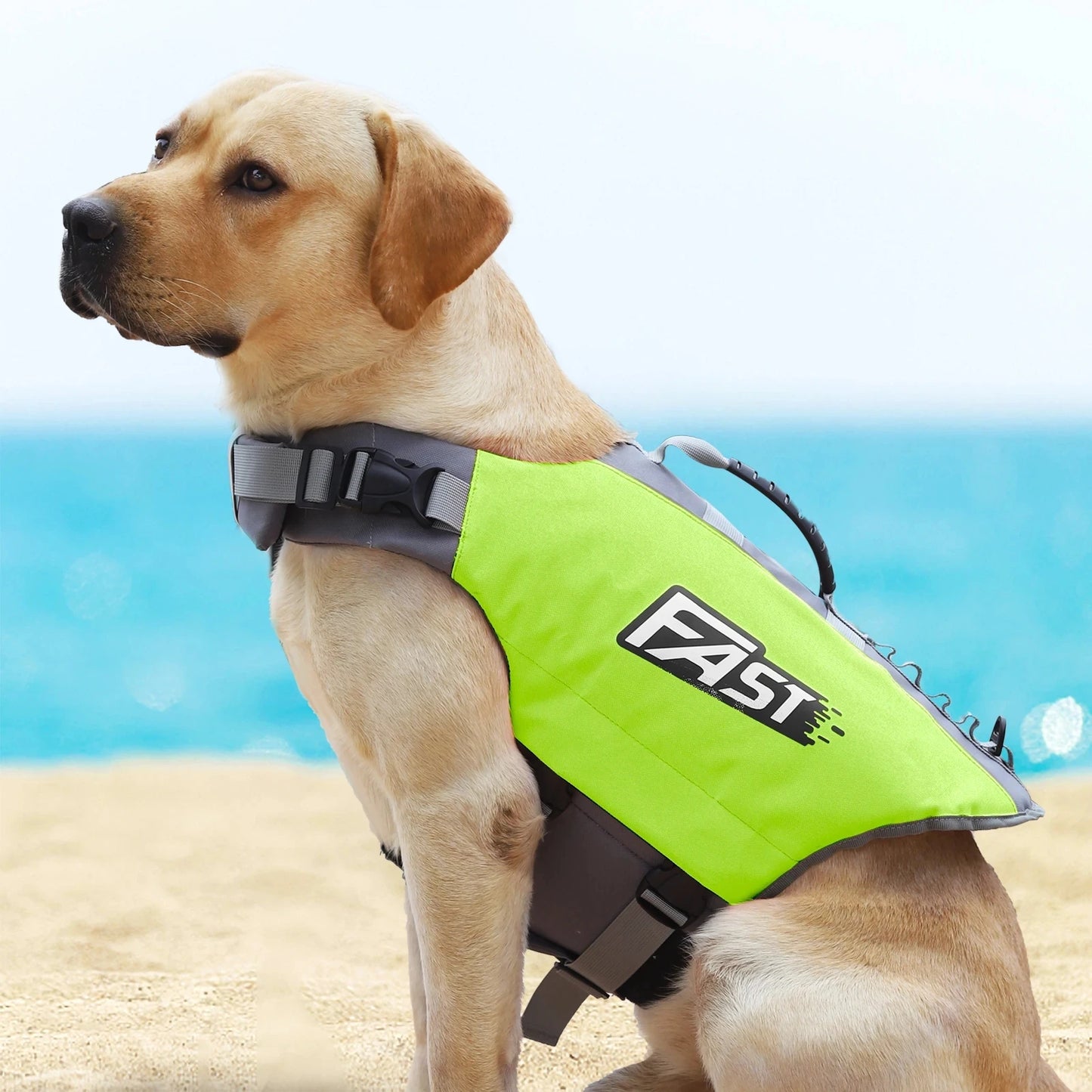 PetPerks Swimming Life Jacket Safety Vest