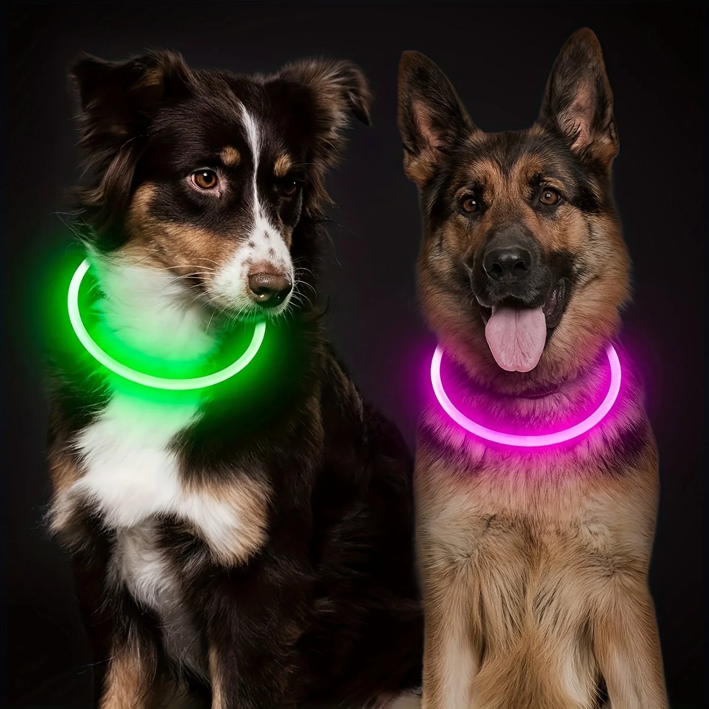 PetPerks Pet Dog LED Light Collar